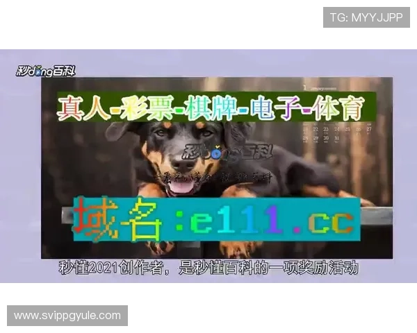 在OG真人手机版官网官方平台上了解最新的优惠活动和充值优惠政策让玩家享受更多实惠提升整体游戏体验感受极致娱乐快感